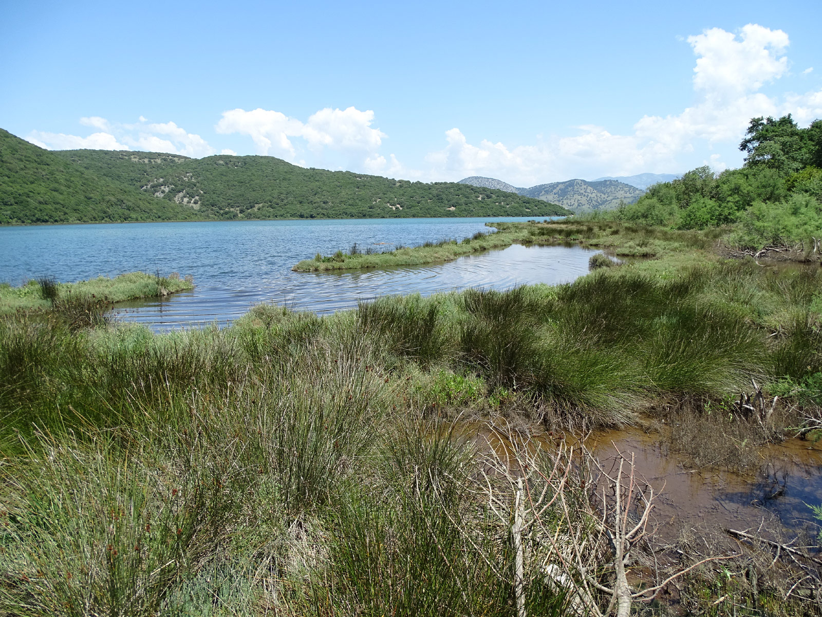 Butrint National Park (Photo license: CC BY 2.0)